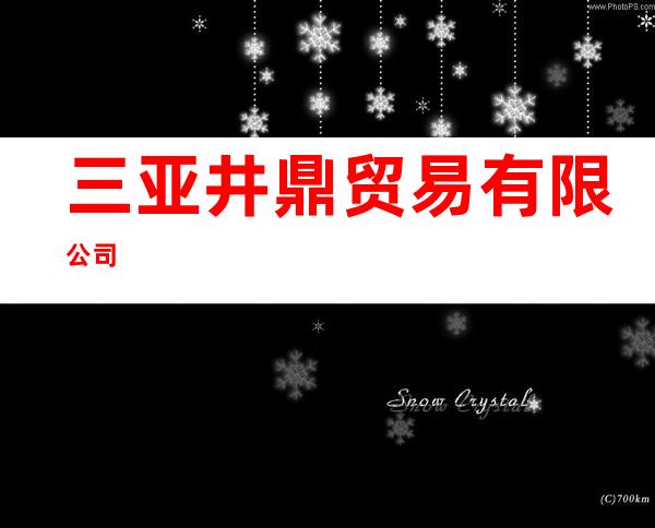 三亚井鼎贸易有限公司