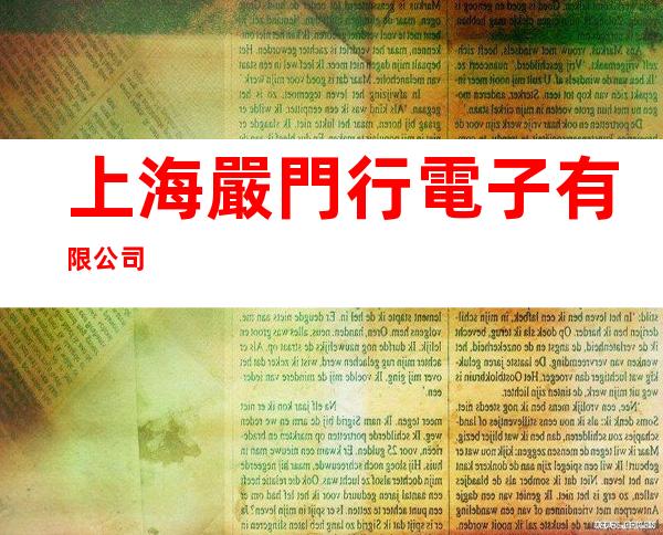 上海嚴門行電子有限公司