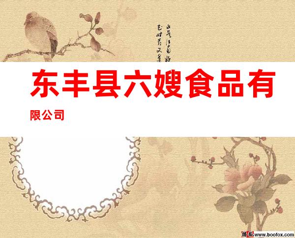 东丰县六嫂食品有限公司