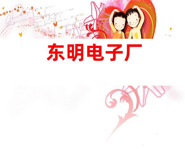 东明电子厂