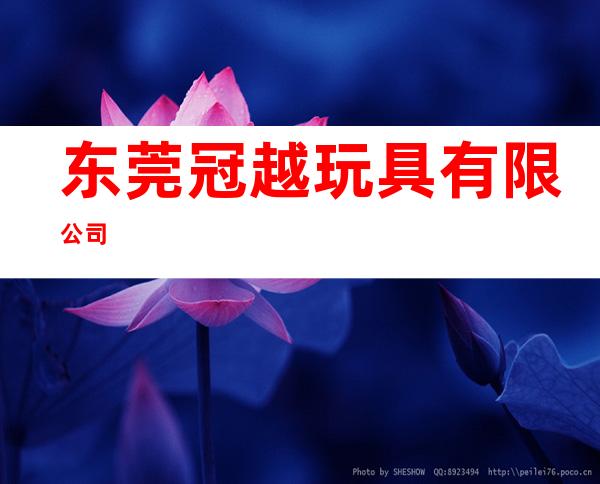 东莞冠越玩具有限公司
