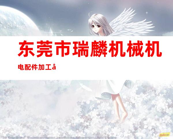 东莞市瑞麟机械机电配件加工店