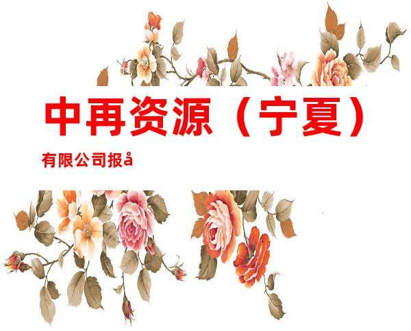 中再资源（宁夏）有限公司报废汽车回收拆解场