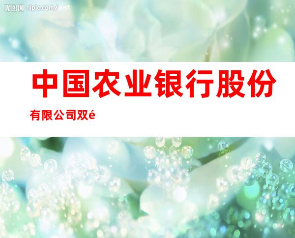 中国农业银行股份有限公司双鸭山长胜支行