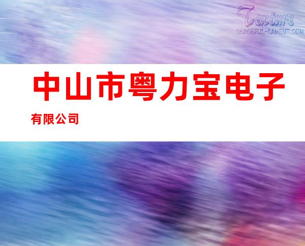 中山市粤力宝电子有限公司