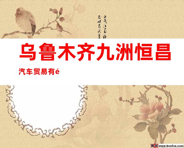 乌鲁木齐九洲恒昌汽车贸易有限公司