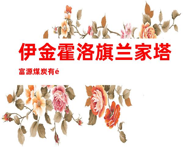 伊金霍洛旗兰家塔富源煤炭有限责任公司