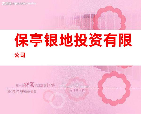 保亭银地投资有限公司