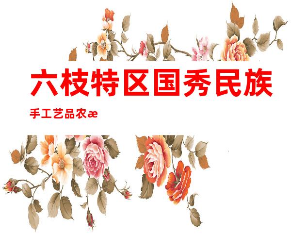六枝特区国秀民族手工艺品农民专业合作社