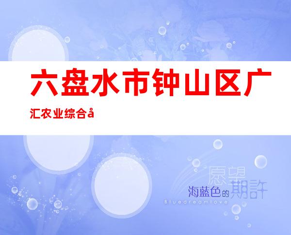 六盘水市钟山区广汇农业综合开发有限责任公司