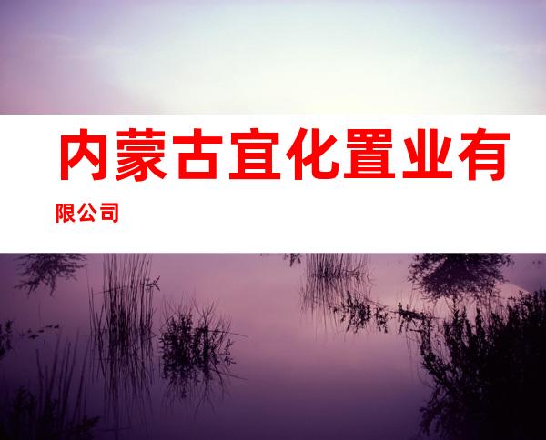 内蒙古宜化置业有限公司