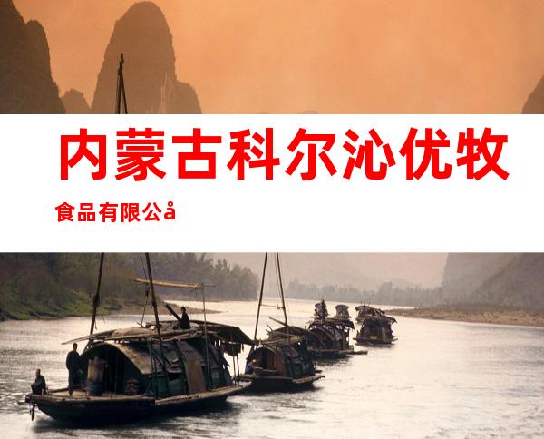 内蒙古科尔沁优牧食品有限公司