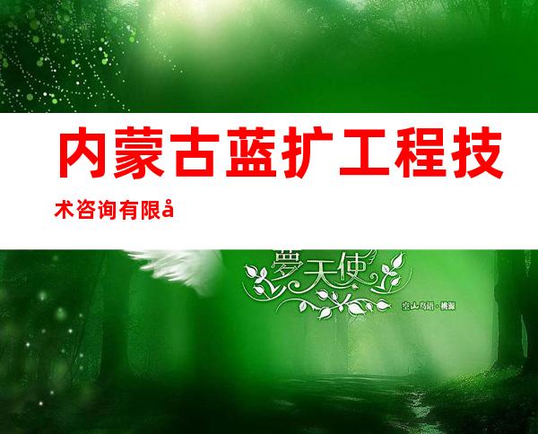 内蒙古蓝扩工程技术咨询有限公司
