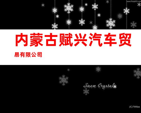 内蒙古赋兴汽车贸易有限公司