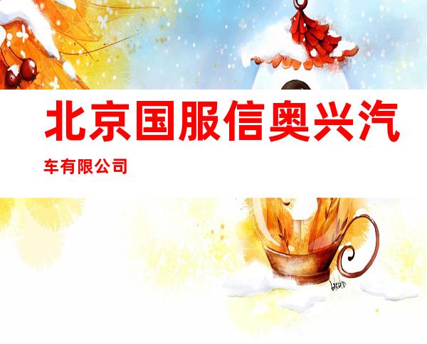 北京国服信奥兴汽车有限公司