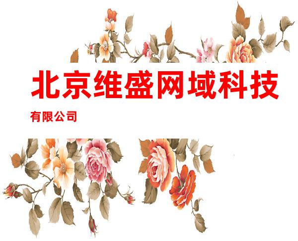 北京维盛网域科技有限公司