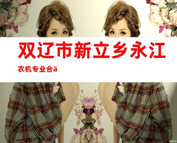 双辽市新立乡永江农机专业合作社