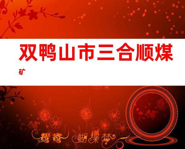 双鸭山市三合顺煤矿