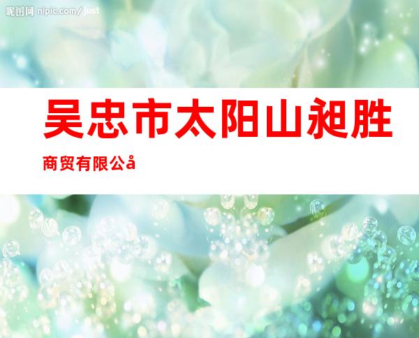 吴忠市太阳山昶胜商贸有限公司