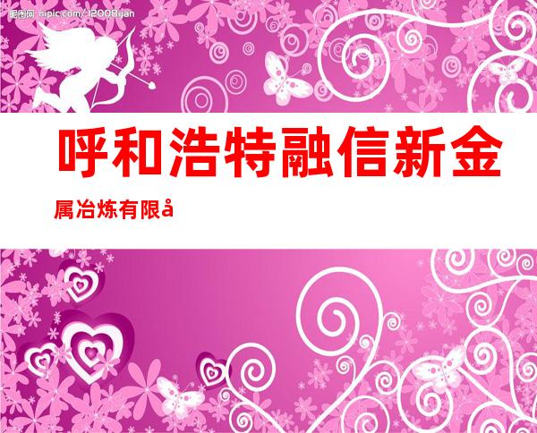 呼和浩特融信新金属冶炼有限公司
