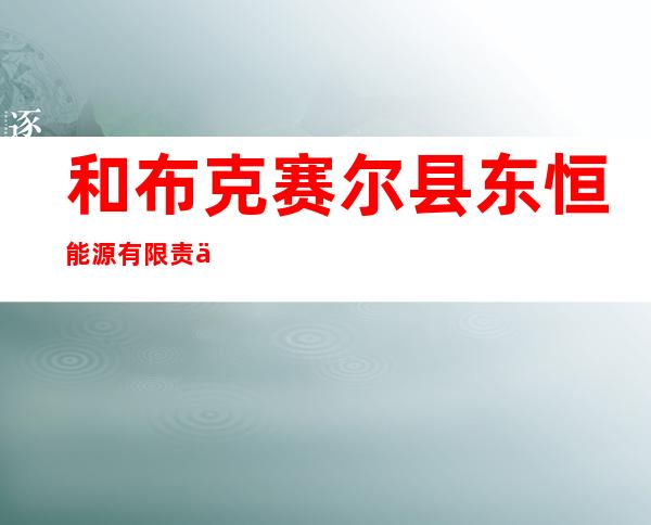 和布克赛尔县东恒能源有限责任公司