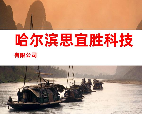 哈尔滨思宜胜科技有限公司
