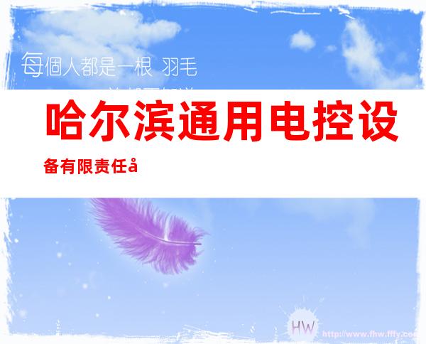 哈尔滨通用电控设备有限责任公司