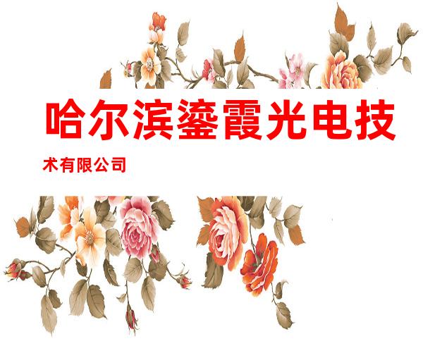 哈尔滨鎏霞光电技术有限公司