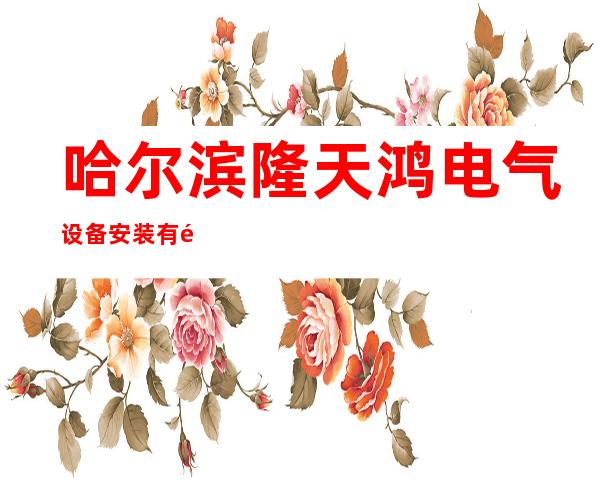 哈尔滨隆天鸿电气设备安装有限公司