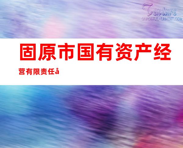 固原市国有资产经营有限责任公司