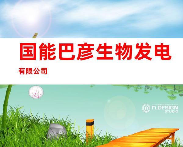国能巴彦生物发电有限公司