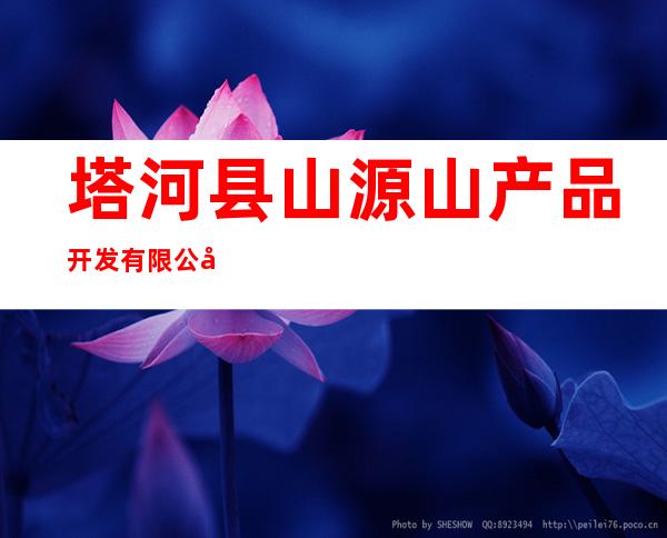 塔河县山源山产品开发有限公司