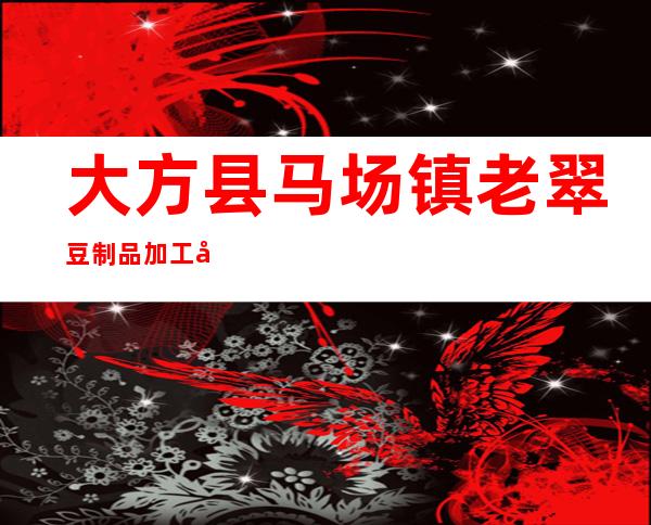 大方县马场镇老翠豆制品加工厂