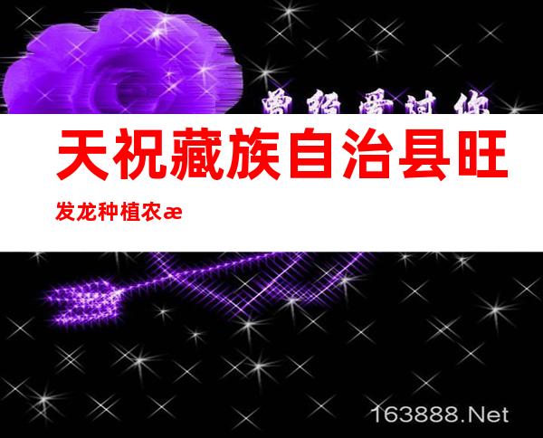 天祝藏族自治县旺发龙种植农民专业合作社