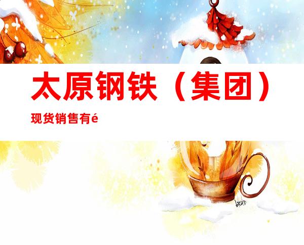 太原钢铁（集团）现货销售有限公司