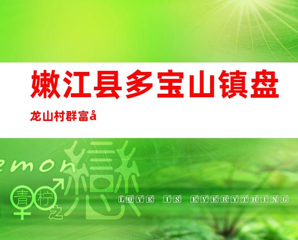 嫩江县多宝山镇盘龙山村群富屯胜勇种植专业合作社