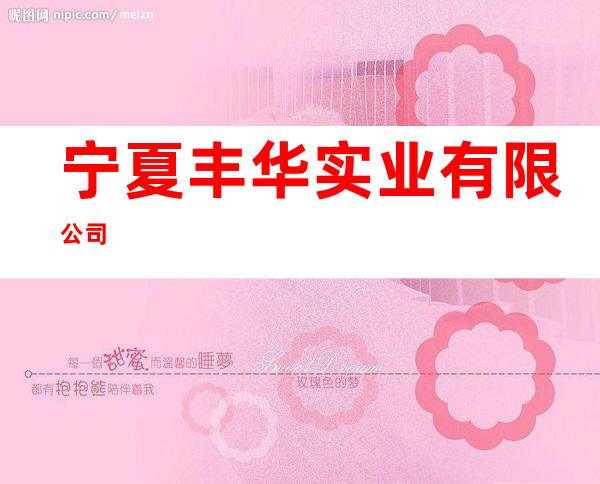 宁夏丰华实业有限公司