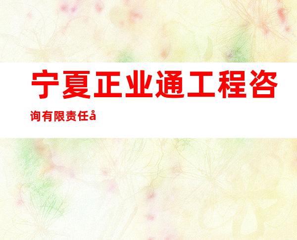宁夏正业通工程咨询有限责任公司