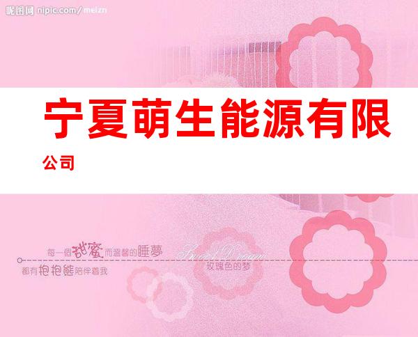 宁夏萌生能源有限公司