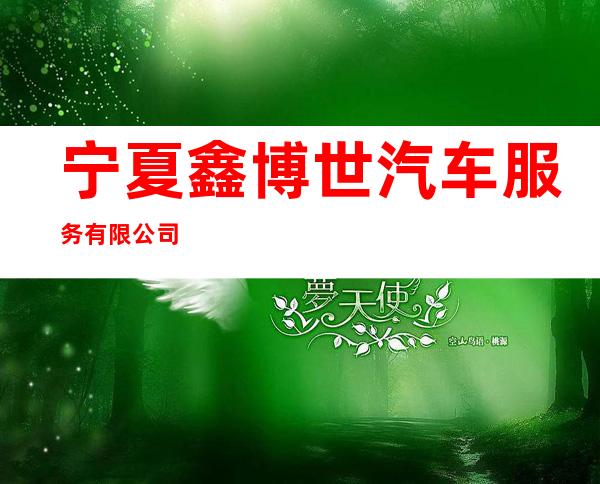 宁夏鑫博世汽车服务有限公司