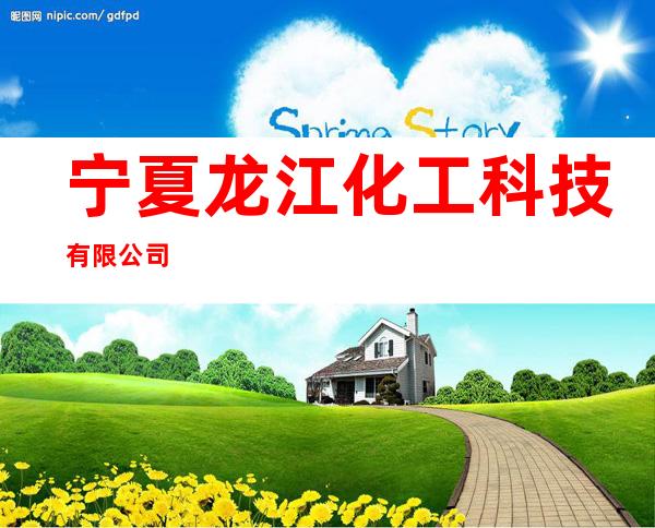 宁夏龙江化工科技有限公司