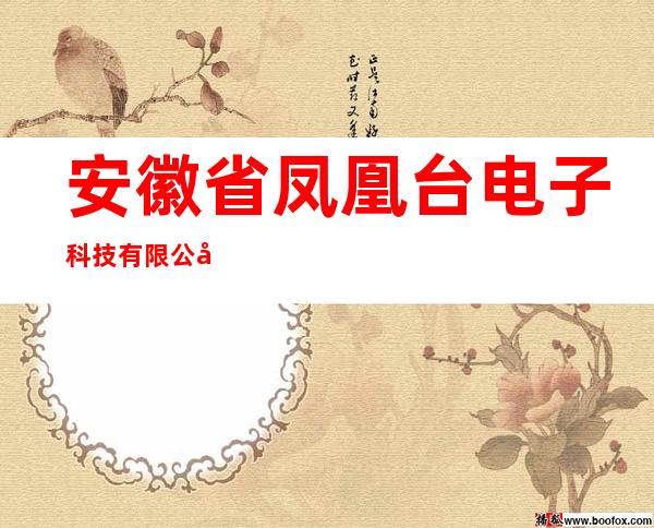 安徽省凤凰台电子科技有限公司
