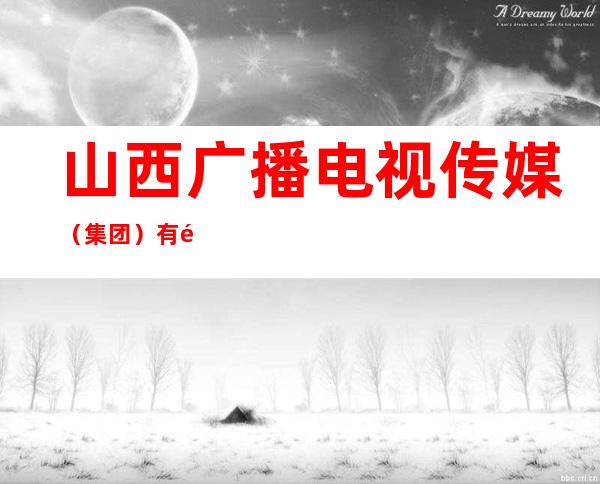 山西广播电视传媒（集团）有限责任公司