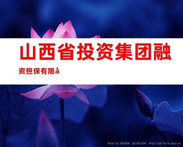 山西省投资集团融资担保有限公司