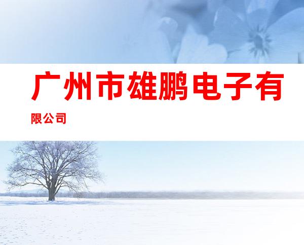 广州市雄鹏电子有限公司