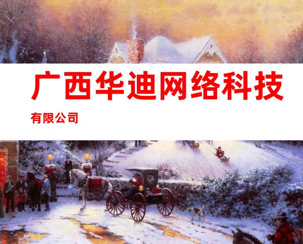 广西华迪网络科技有限公司