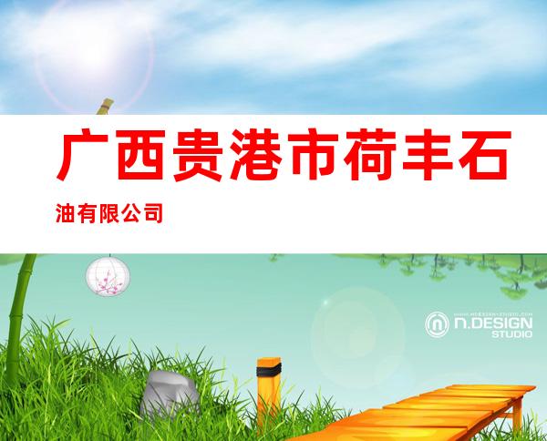 广西贵港市荷丰石油有限公司