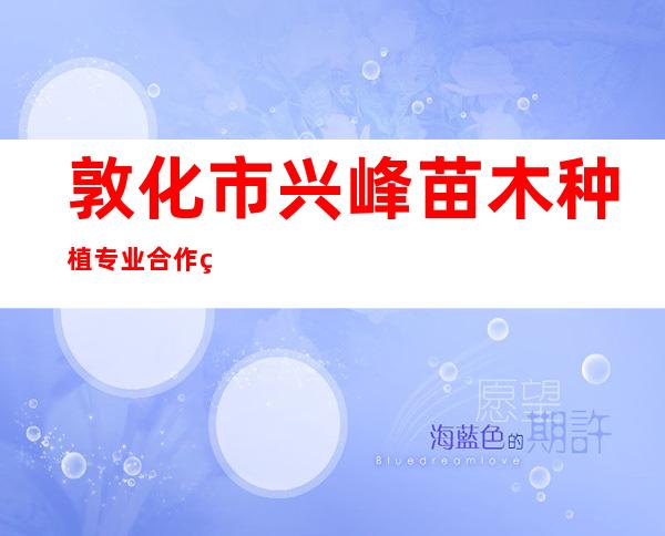 敦化市兴峰苗木种植专业合作社