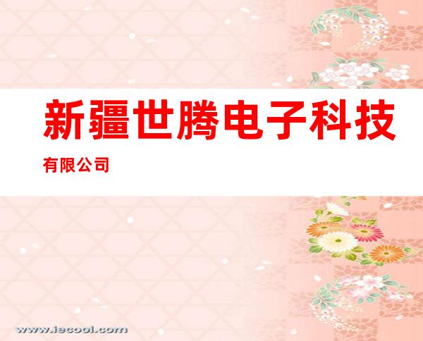 新疆世腾电子科技有限公司