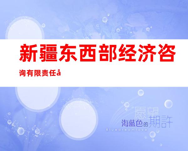 新疆东西部经济咨询有限责任公司